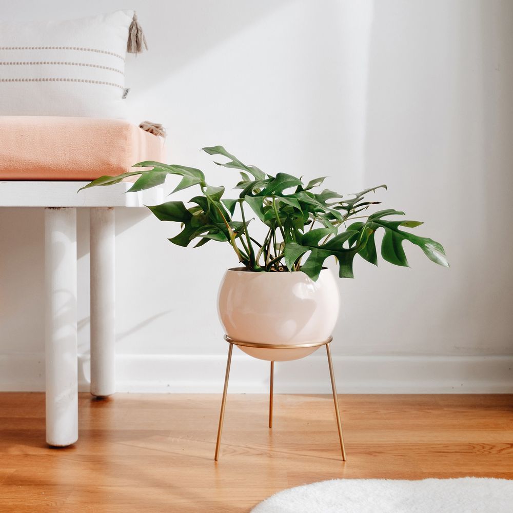 Pots de fleurs - Jardinière Globe - KITBOX DESIGN