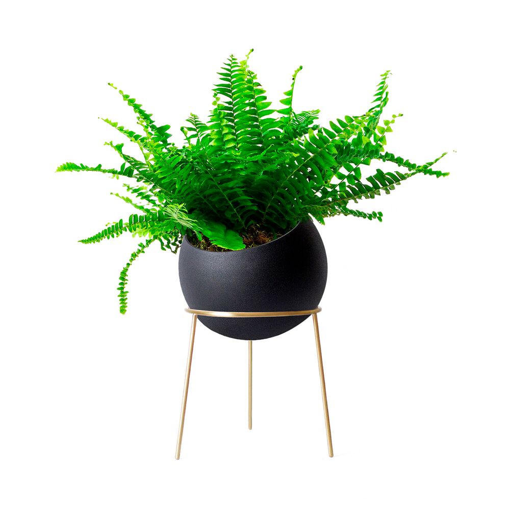 Pots de fleurs - Jardinière Globe - KITBOX DESIGN