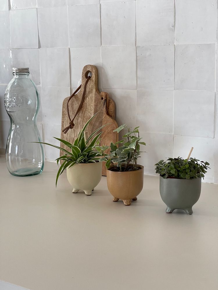 Objets design - BOUGIE PARFUMÉE - MAQUIS - MAISON EVIDENCE