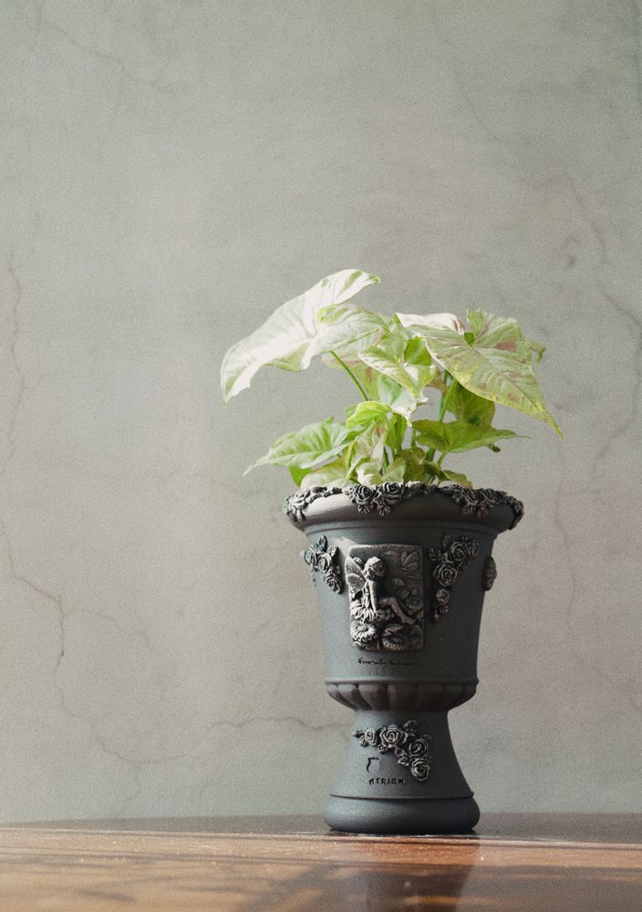Pottery - Agave Venus, flower pot, handmade terracotta. - ATRIUM DESIGN STUDIO