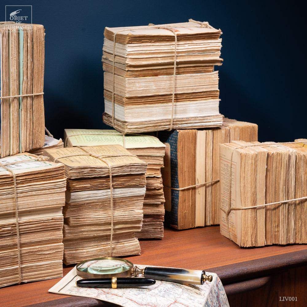 Decorative objects - Our book collection - OBJET DE CURIOSITÉ