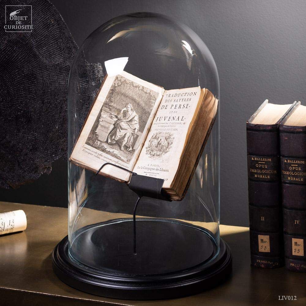 Decorative objects - Our book collection - OBJET DE CURIOSITÉ
