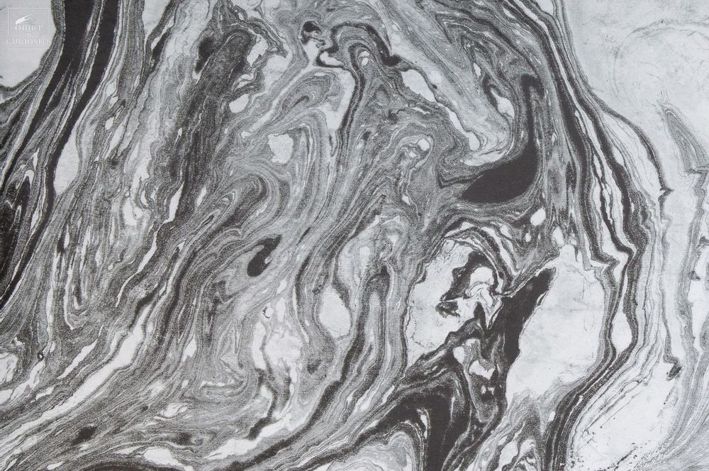Wallpaper - Our wallpaper collection - OBJET DE CURIOSITÉ