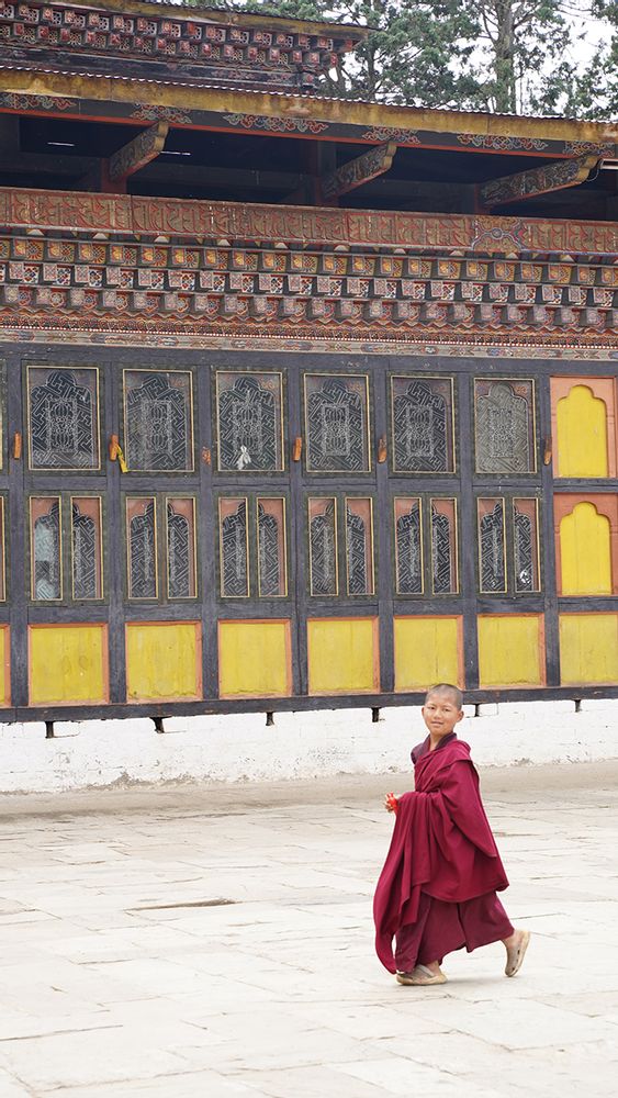 Cushions - Cushion SERBU - BHUTAN TEXTILES