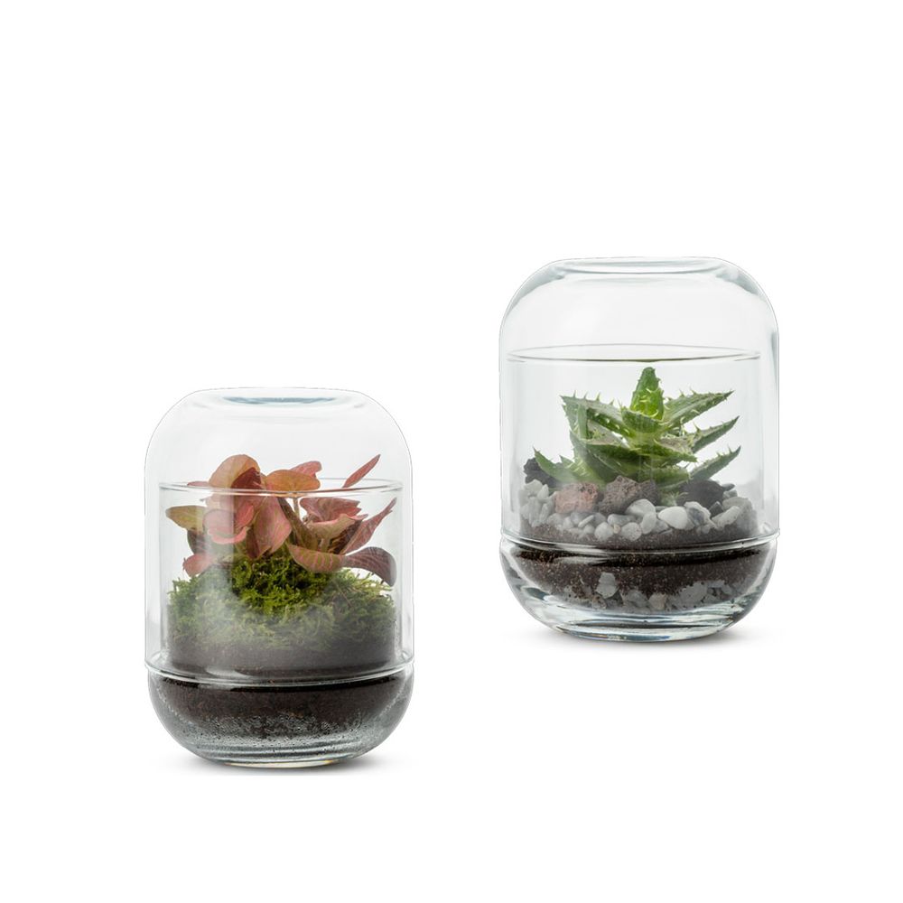 Objets de décoration - COLLECTION TERRARIUM - NATURALYS