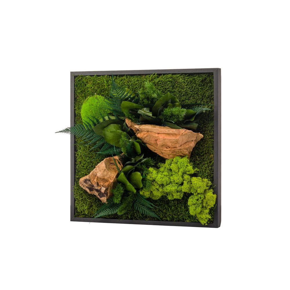 Floral decoration - STABILIZED VERRINES COLLECTION - NATURALYS