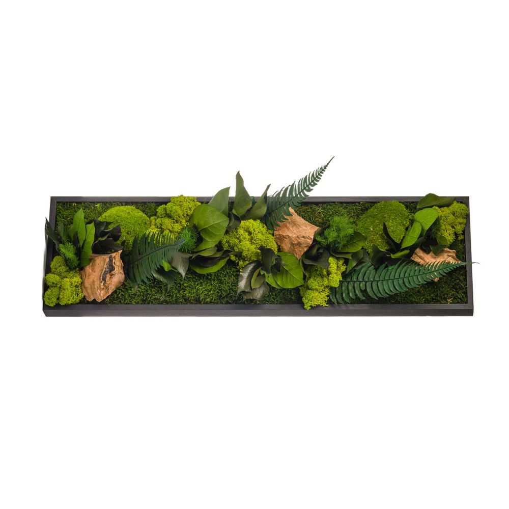 Floral decoration - STABILIZED VERRINES COLLECTION - NATURALYS