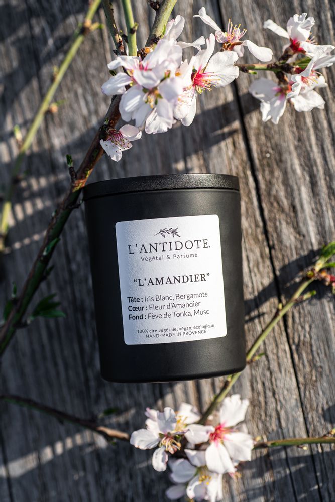 Gifts - L'AMANDIER - L'ANTIDOTE