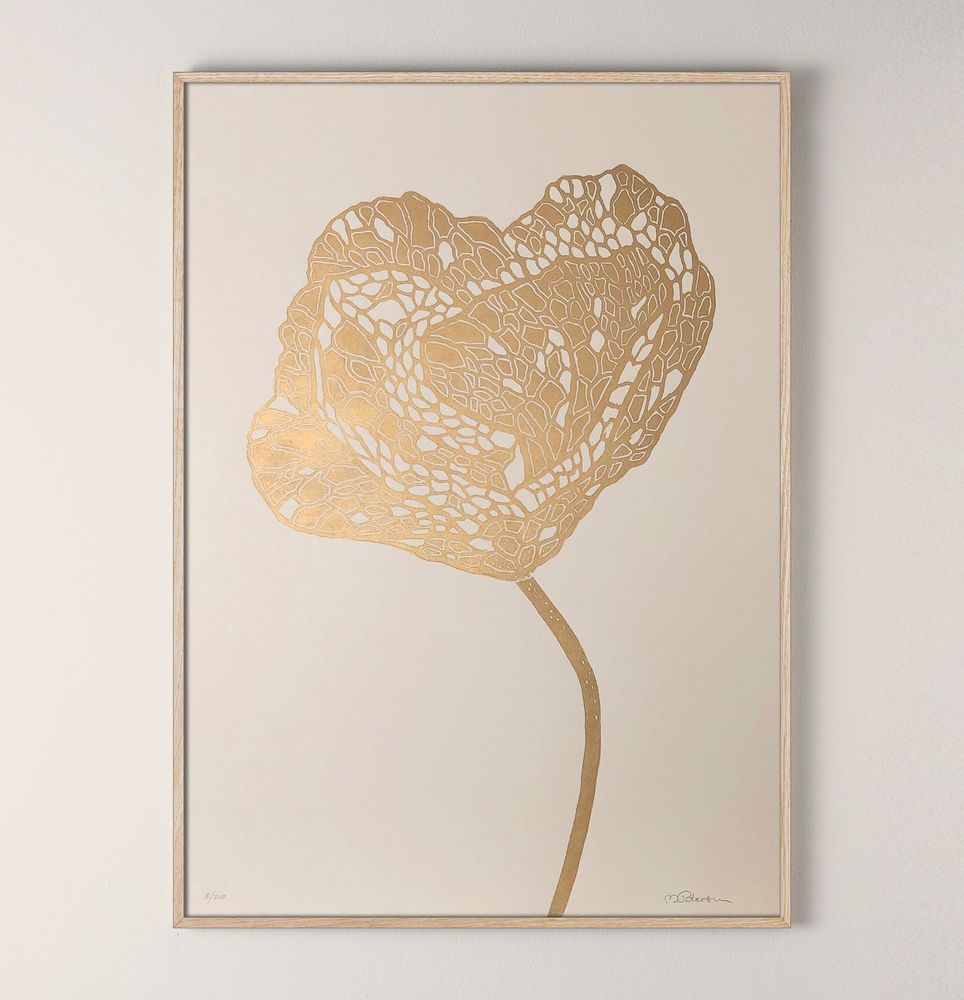 Poster - BOTANICAL LINO PRINTS - MONIKA PETERSEN ART PRINTS