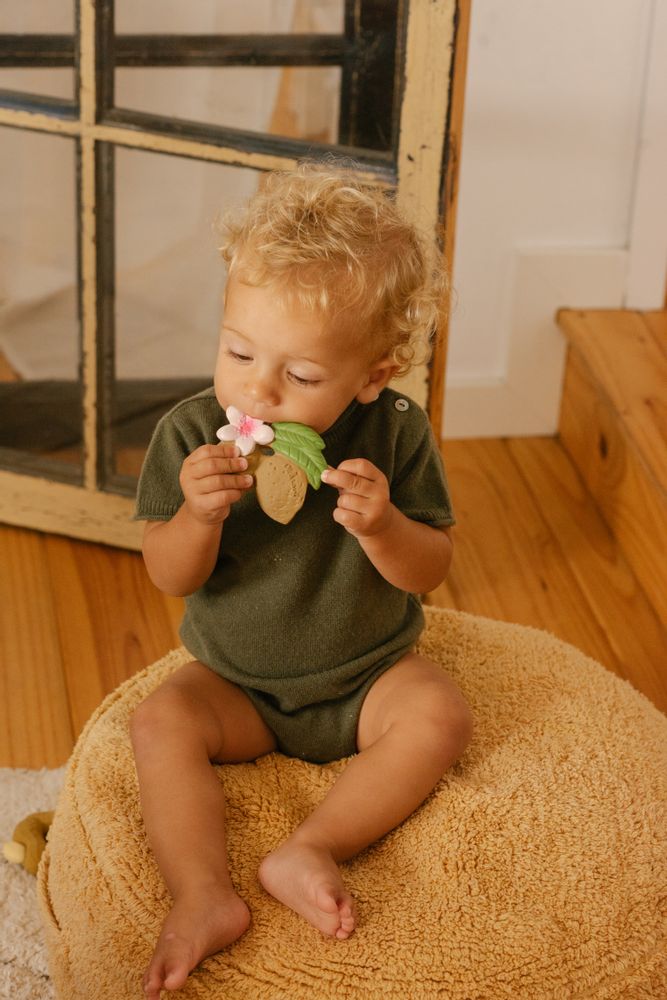 Jouets enfants - Anneaux de dentition Noix et fruits des bois - OLI&CAROL FRANCE