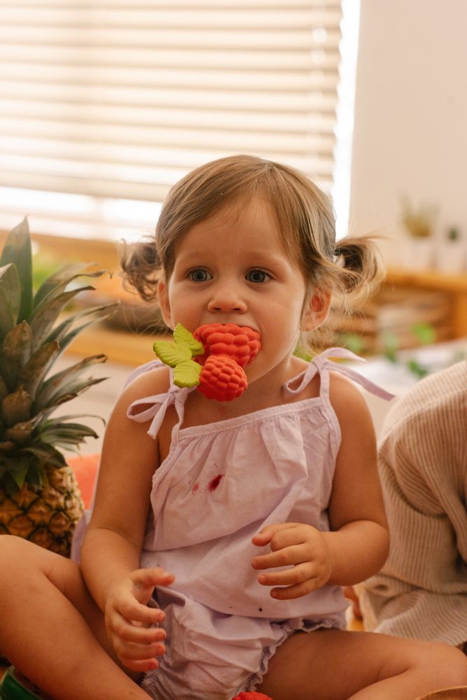 Jouets enfants - Anneaux de dentition Noix et fruits des bois - OLI&CAROL FRANCE