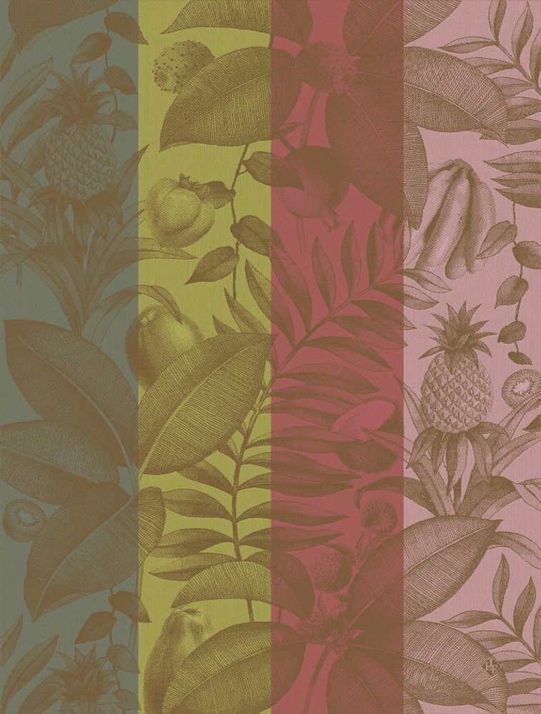 Torchons - Collection Fruits Exotiques - LE JACQUARD FRANCAIS