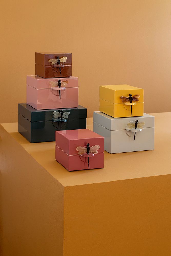 Decorative objects - Dragonfly lacquer box/Jewelry - OI SOI OI