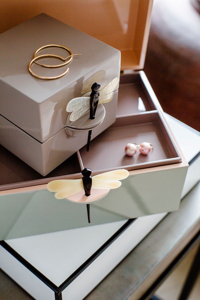 Decorative objects - Dragonfly lacquer box/Jewelry - OI SOI OI