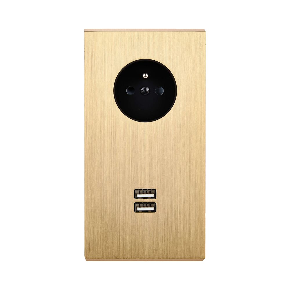 Objets de décoration - Prise de courant + 2 Ports USB A sur Plaque Double Verticale en Laiton Brossé - MODELEC