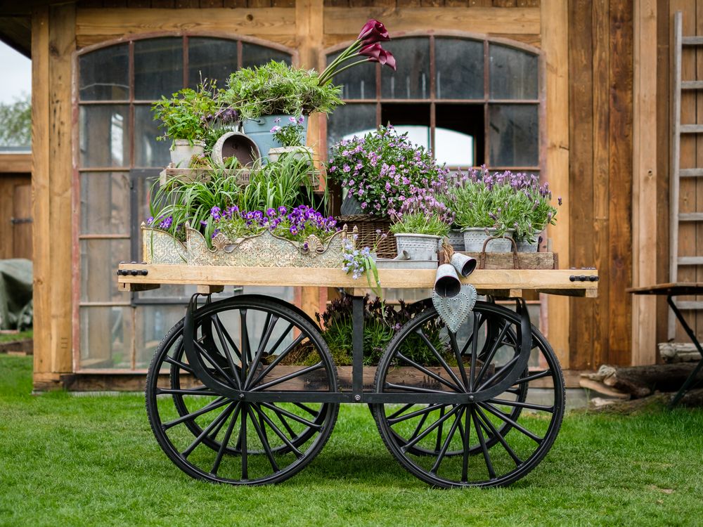 Autres tables - Chariot buffet Empire. - PROFLOR