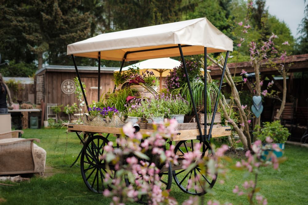 Autres tables - Chariot buffet Empire. - PROFLOR