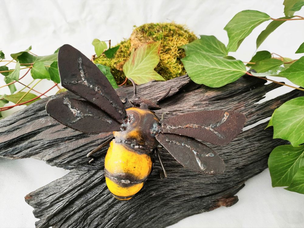 Other wall decoration - WALL INSECTS COLLECTION - TERRE SAUVAGE