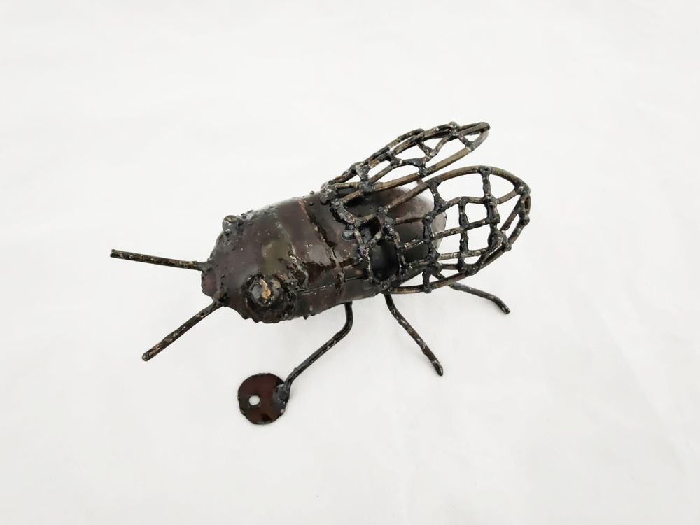 Other wall decoration - WALL INSECTS COLLECTION - TERRE SAUVAGE