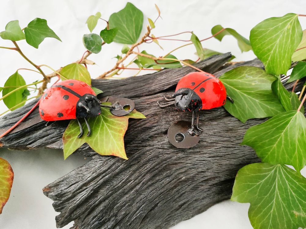 Other wall decoration - WALL INSECTS COLLECTION - TERRE SAUVAGE