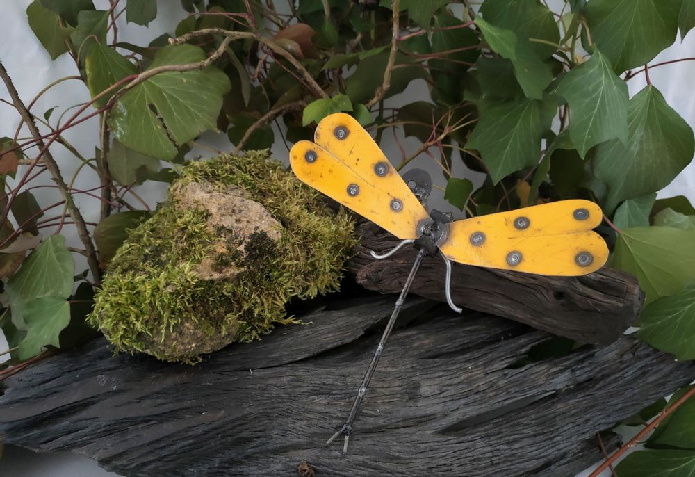 Other wall decoration - WALL INSECTS COLLECTION - TERRE SAUVAGE