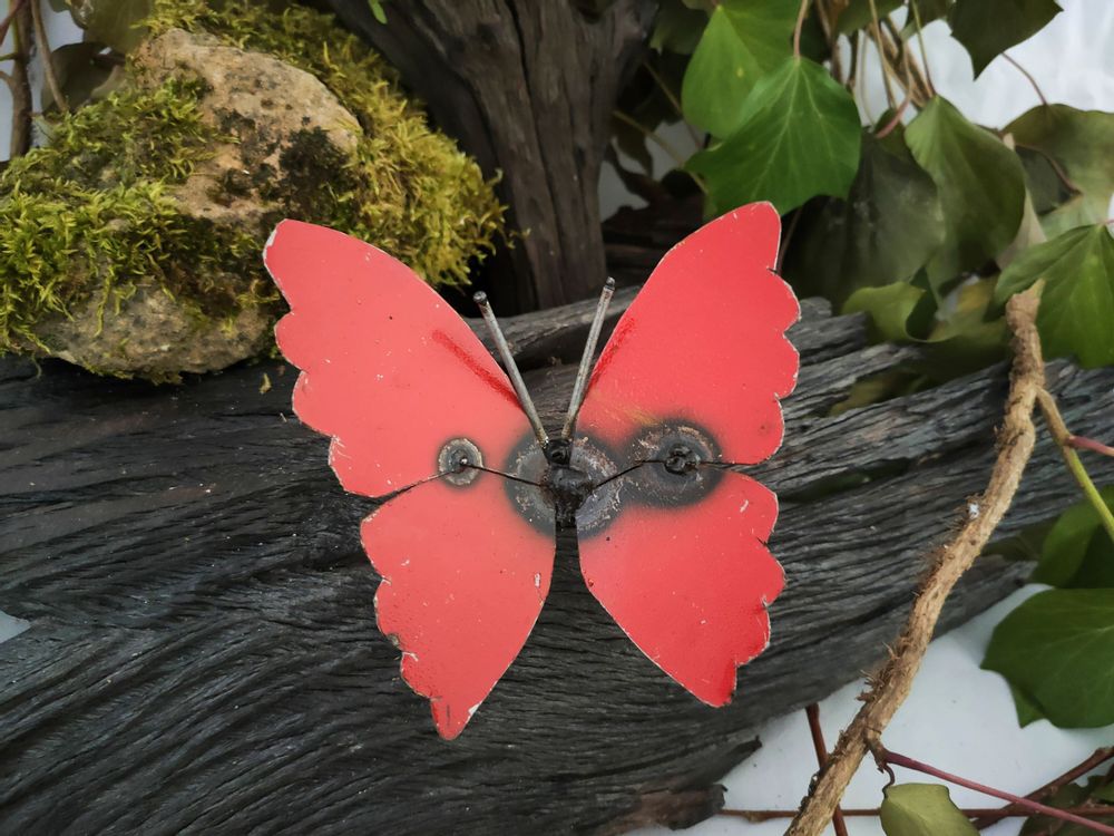 Other wall decoration - WALL INSECTS COLLECTION - TERRE SAUVAGE