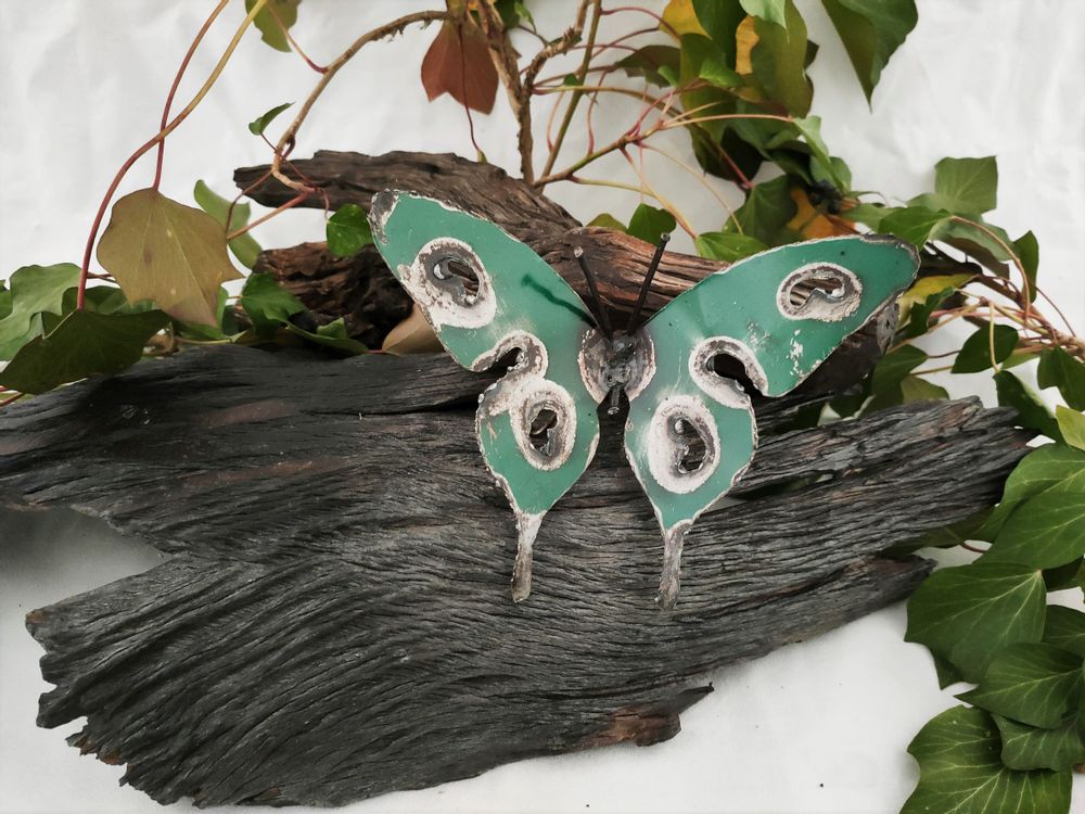Other wall decoration - WALL INSECTS COLLECTION - TERRE SAUVAGE