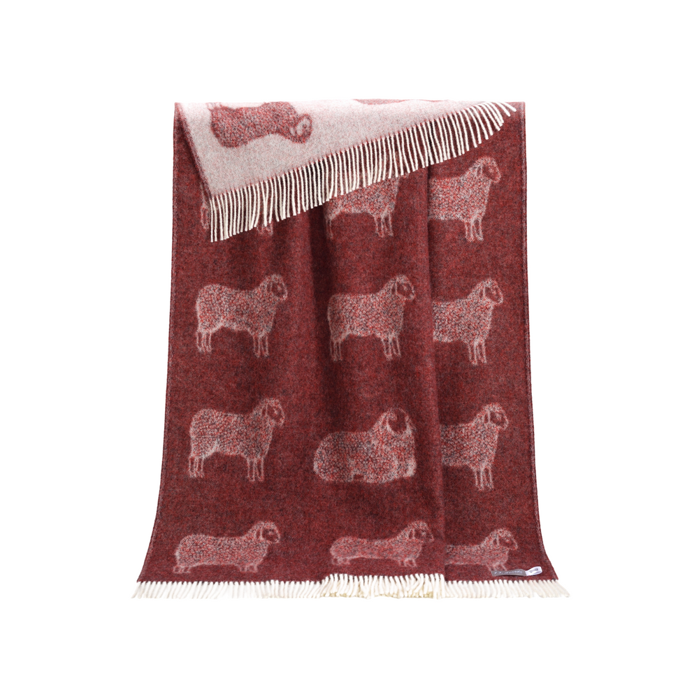 Throw blankets - NEW Sheep Pure Wool Throw - Available in Blue, Green Burgundy and Aubergine - 130 x 190 cm - J.J. TEXTILE LTD