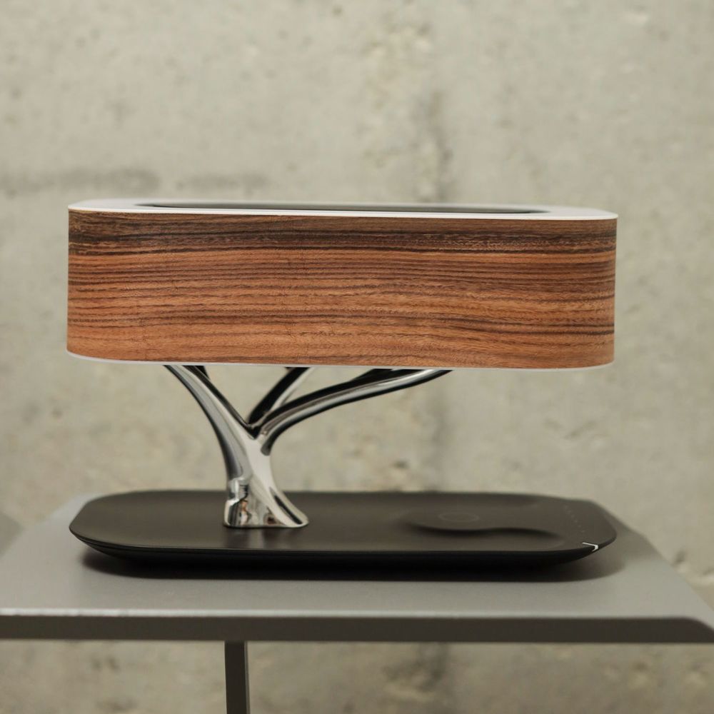 Other office supplies - Connected lamps - LA SEVE DES BOIS