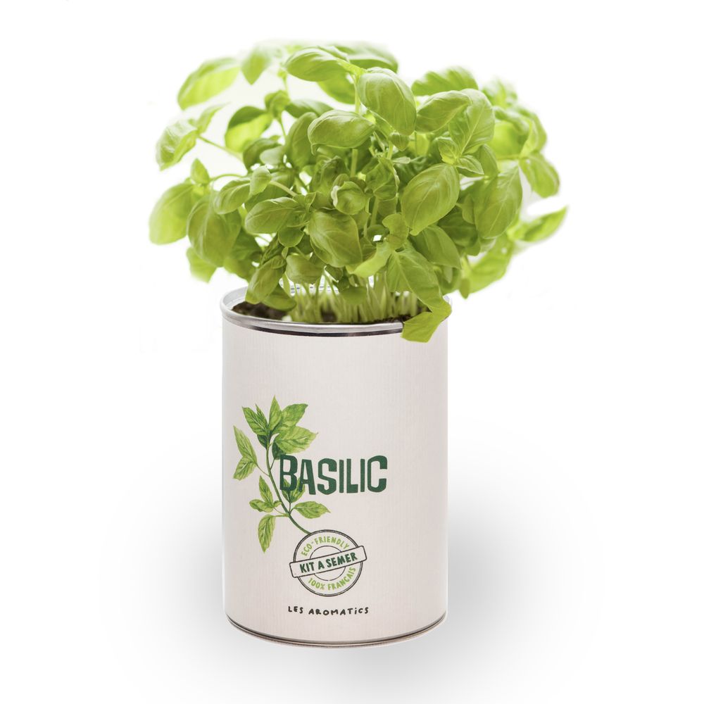 Gifts - Basil seed kit - MAUVAISES GRAINES