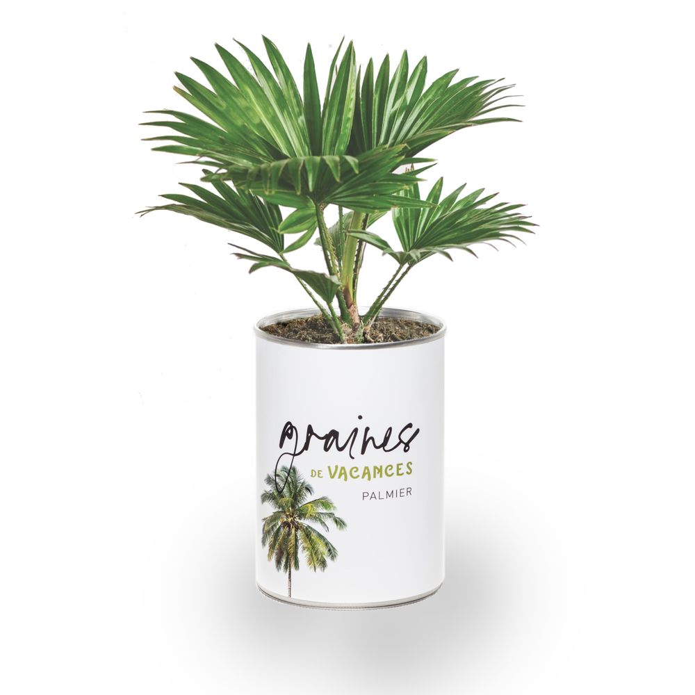 Gifts - Sowing kit\" Vacation seeds\” Made in France - MAUVAISES GRAINES