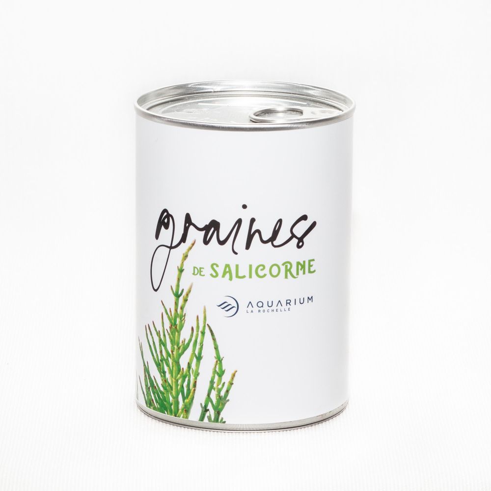Gifts - Sowing kit\" Vacation seeds\” Made in France - MAUVAISES GRAINES
