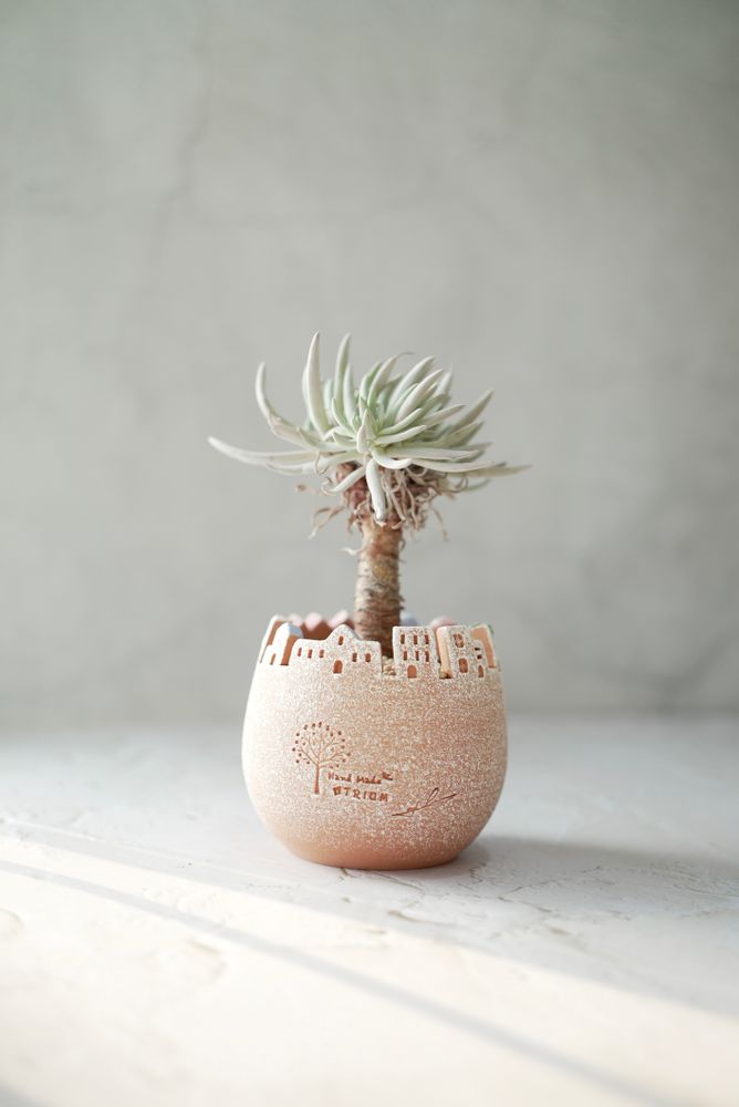 Vases - Dosi- Pot de fleurs en terre cuite fait main. - ATRIUM DESIGN STUDIO