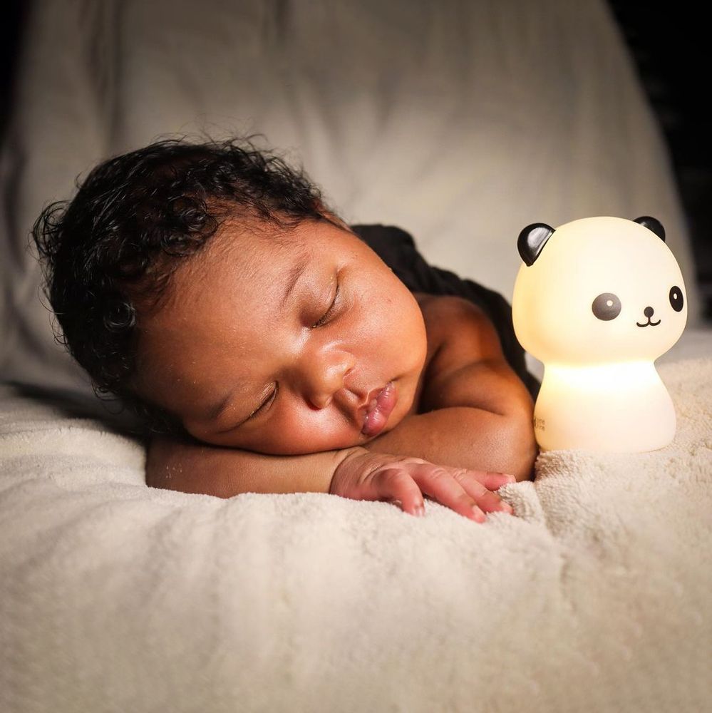Gifts - USB Rechargeable Night Light - Panda - SOMESHINE