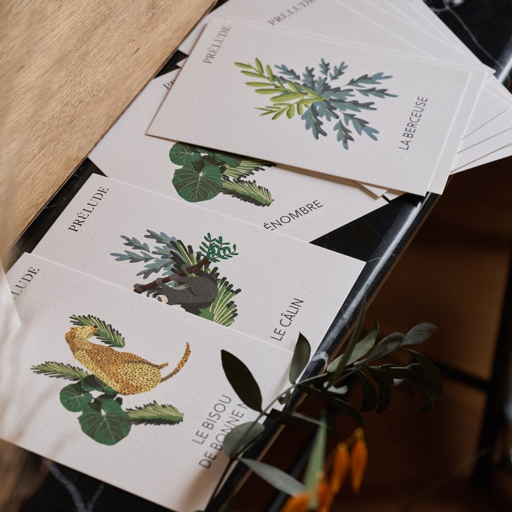 Carterie - Cartes de routine du sommeil | Cadeaux pour bébé - PRÉLUDE