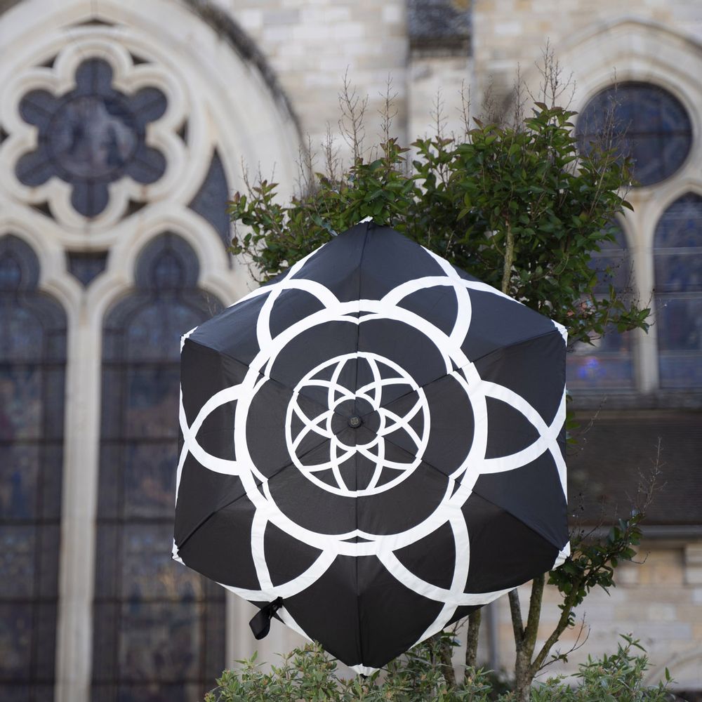 Leather goods - small black automatic umbrella with flowers - SMATI