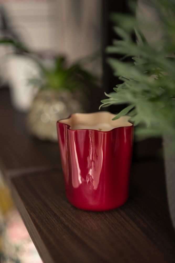 Gifts - LIVELY - AINA KARI