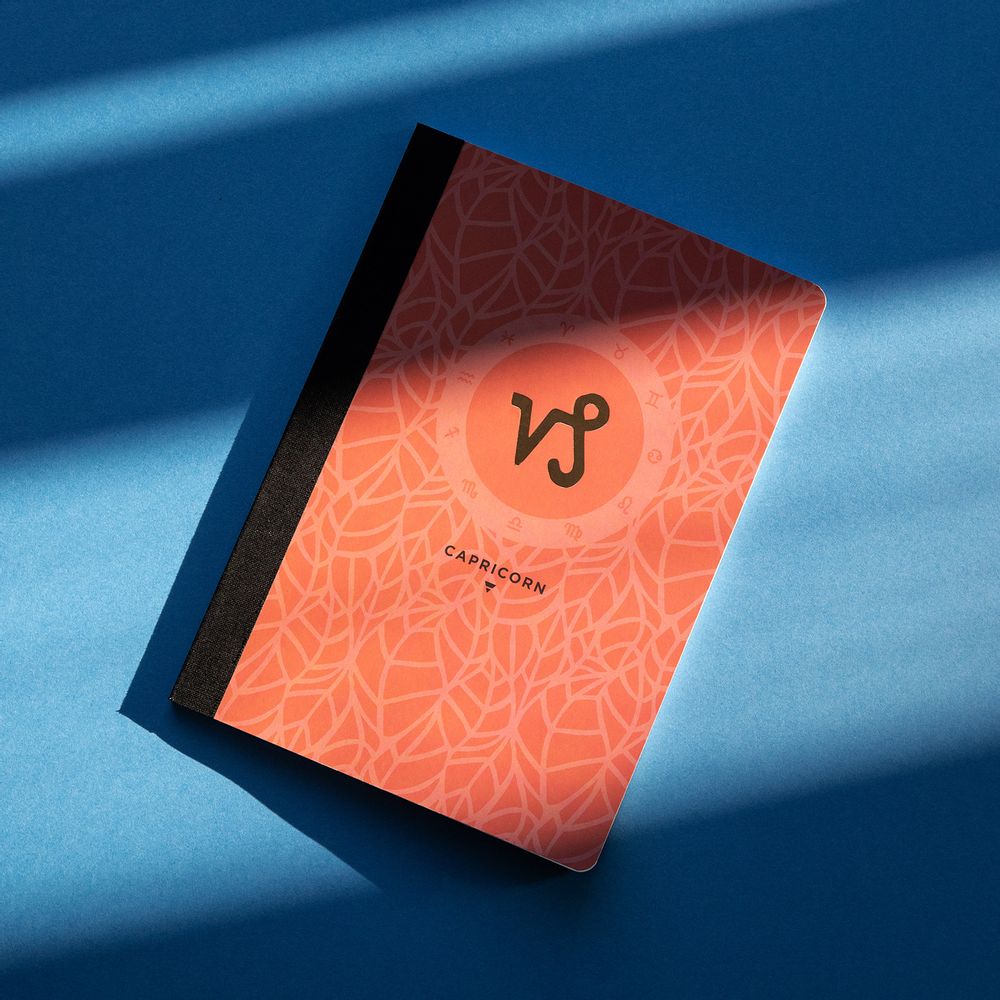 Papeterie bureau - Carnets AstroTigre - PAPIER TIGRE