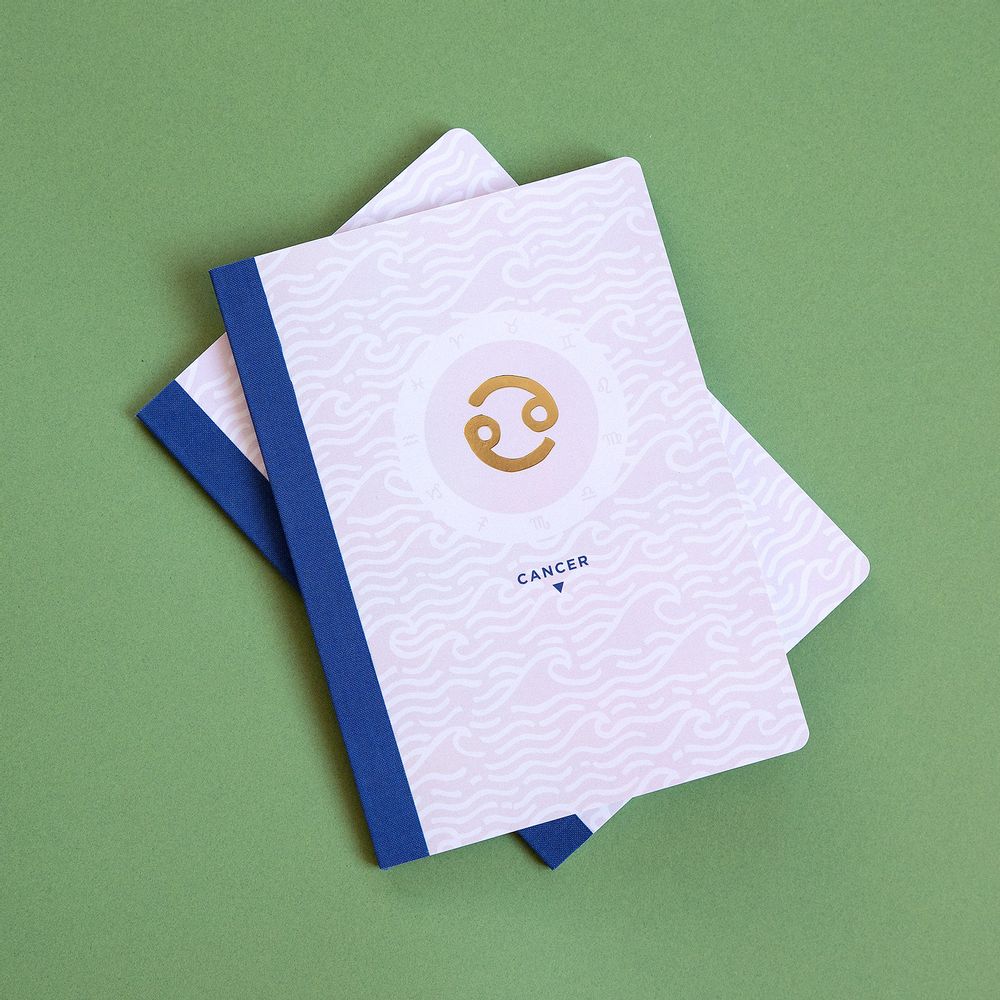 Papeterie bureau - Carnets AstroTigre - PAPIER TIGRE