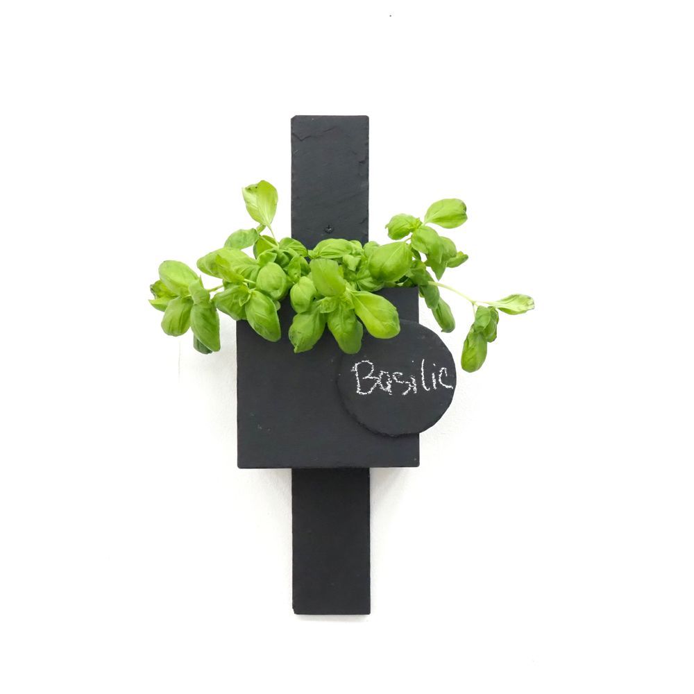 Green walls - Natural Slate Planter for Herbs Totem - LE TRÈFLE BLEU