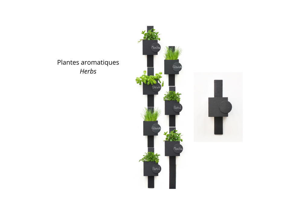 Green walls - Natural Slate Planter for Herbs Totem - LE TRÈFLE BLEU