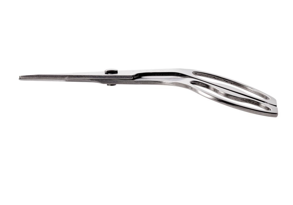 Kitchen utensils - Hasami stainless steel scissors - eATOCO/YOSHIKAWA collection - ABINGPLUS