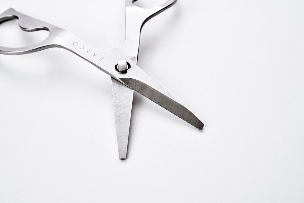 Kitchen utensils - Hasami stainless steel scissors - eATOCO/YOSHIKAWA collection - ABINGPLUS
