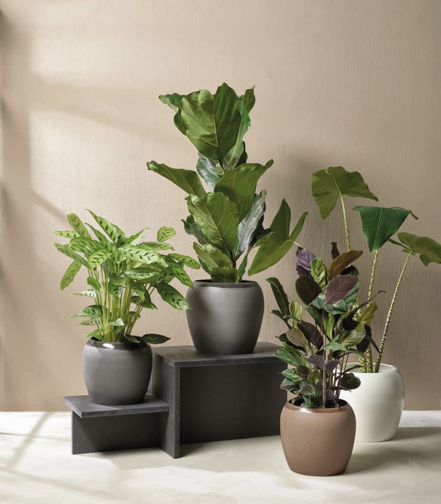 Vases - Collection BRUNA - ASA SELECTION