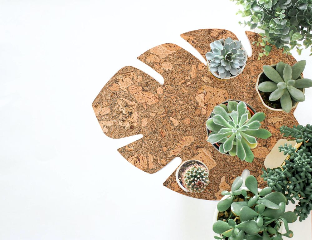 Gifts - Nattura Collection - NATTU BY 3DCORK