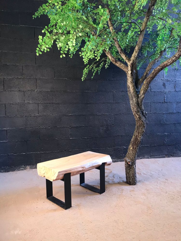 Conference tables - Driftwood bench and stool - DECO-NATURE