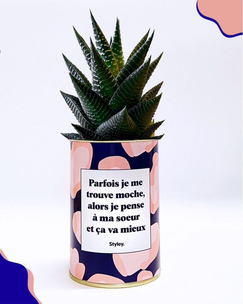 Cadeaux - Soeur Moche - Cactus - STYLEY
