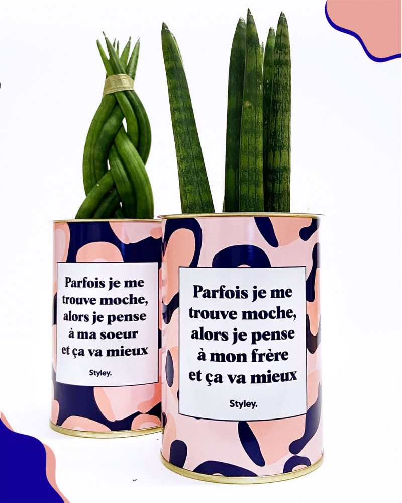 Cadeaux - Soeur Moche - Cactus - STYLEY
