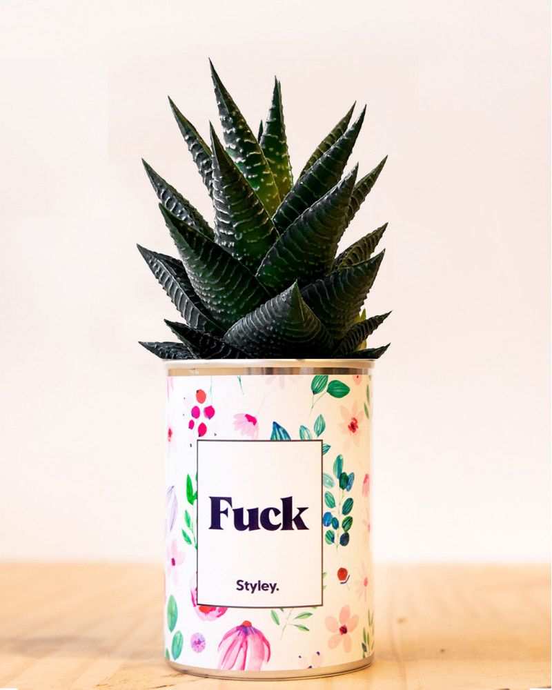 Cadeaux - Fuck - Cactus - STYLEY