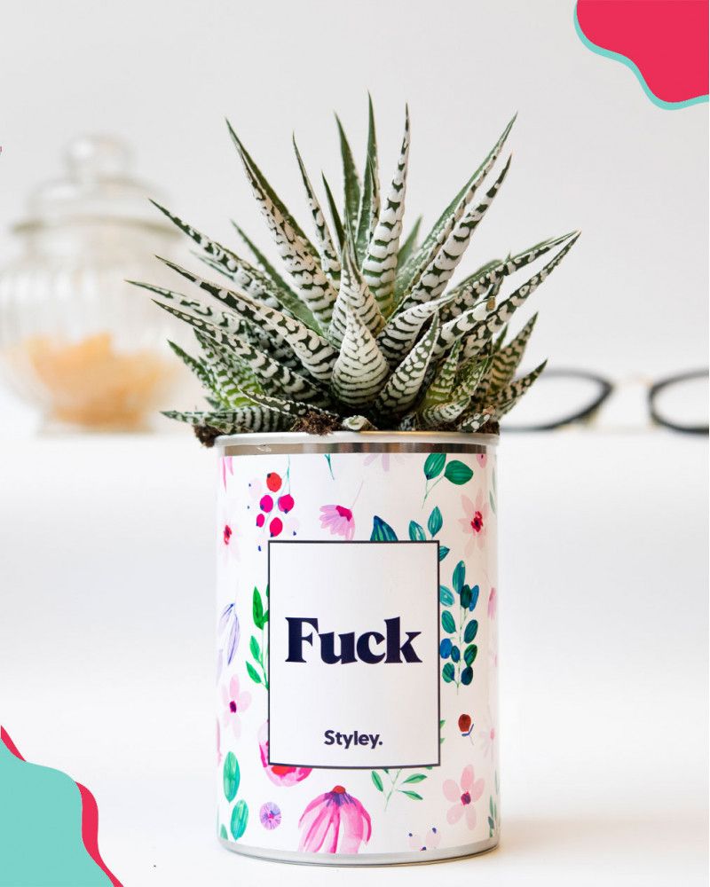 Cadeaux - Fuck - Cactus - STYLEY